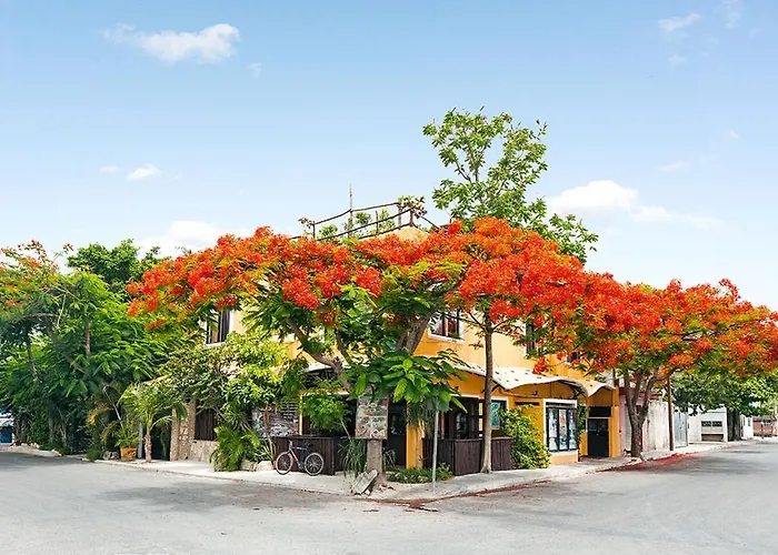 Downtown 3* Tulum